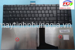Thay Bàn phím Laptop Toshiba Tecra C50-B