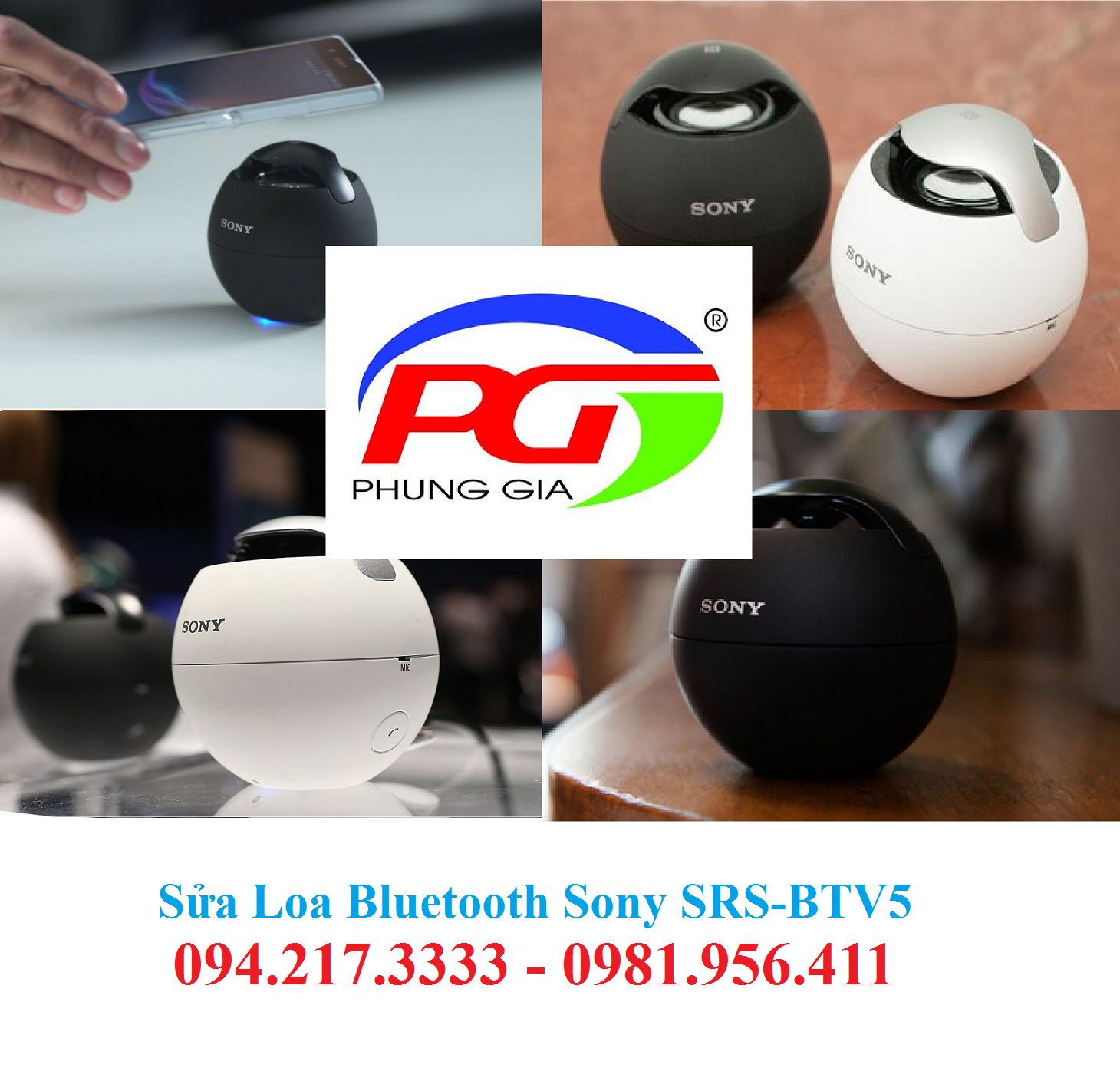 Trung Tâm Sửa Chữa Loa Bluetooth Sony SRS-BTV5