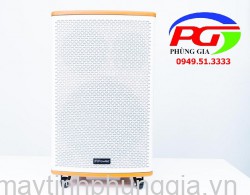 Sửa loa Bluetooth Karaoke F.Power GD12-02 bảo hành 1 năm