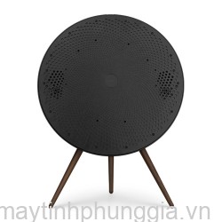 Sửa Loa B&O BeoPlay A9 MK4