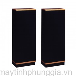 Sửa Loa Vandersteen 2Ce Signature II